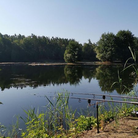 Ruhepol Fuer Mensch & Tier In Der Lueneburger Heide Lägenhet Vierhofen Exteriör bild