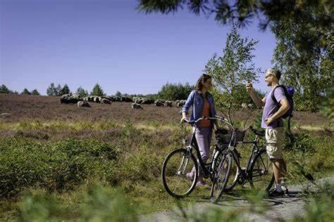 Ruhepol Fuer Mensch & Tier In Der Lueneburger Heide Lägenhet Vierhofen Exteriör bild