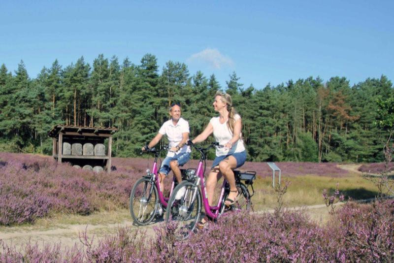 Ruhepol Fuer Mensch & Tier In Der Lueneburger Heide Lägenhet Vierhofen Exteriör bild