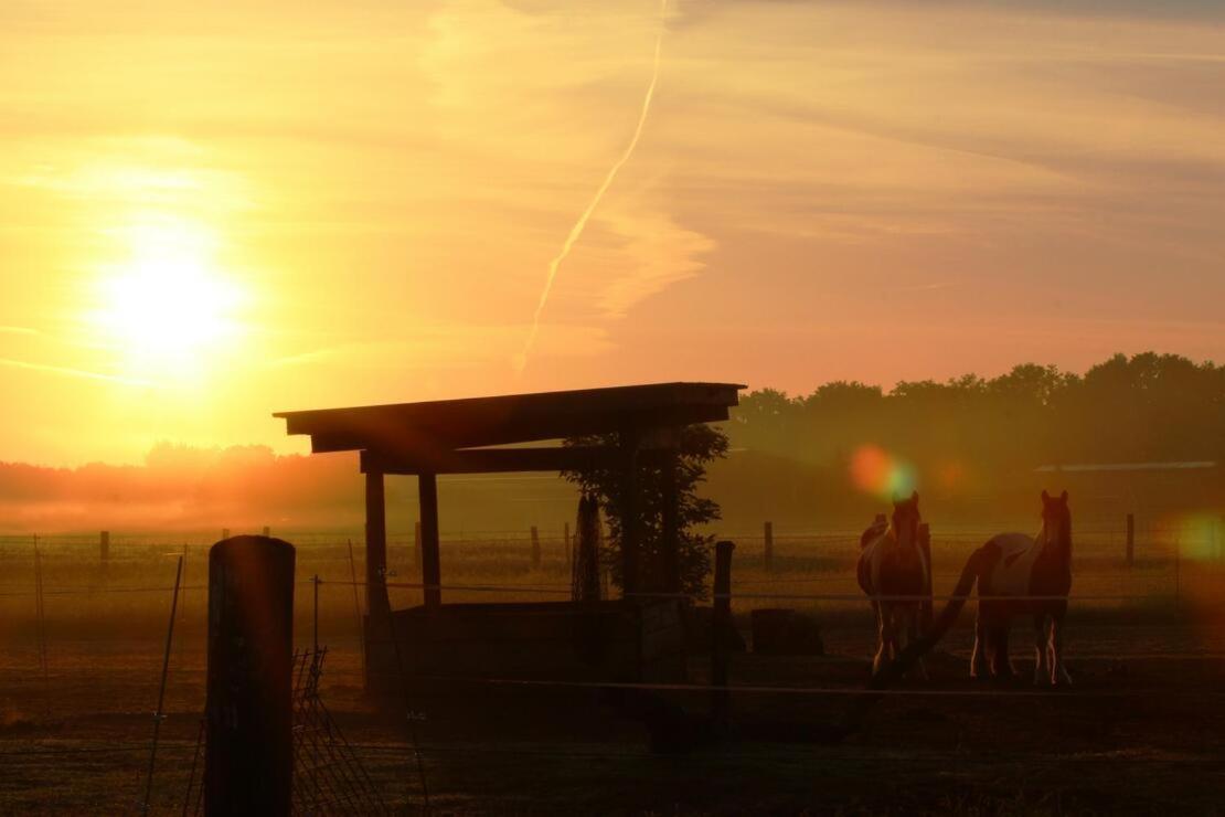 Ruhepol Fuer Mensch & Tier In Der Lueneburger Heide Lägenhet Vierhofen Exteriör bild