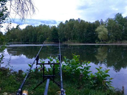 Ruhepol Fuer Mensch & Tier In Der Lueneburger Heide Lägenhet Vierhofen Exteriör bild