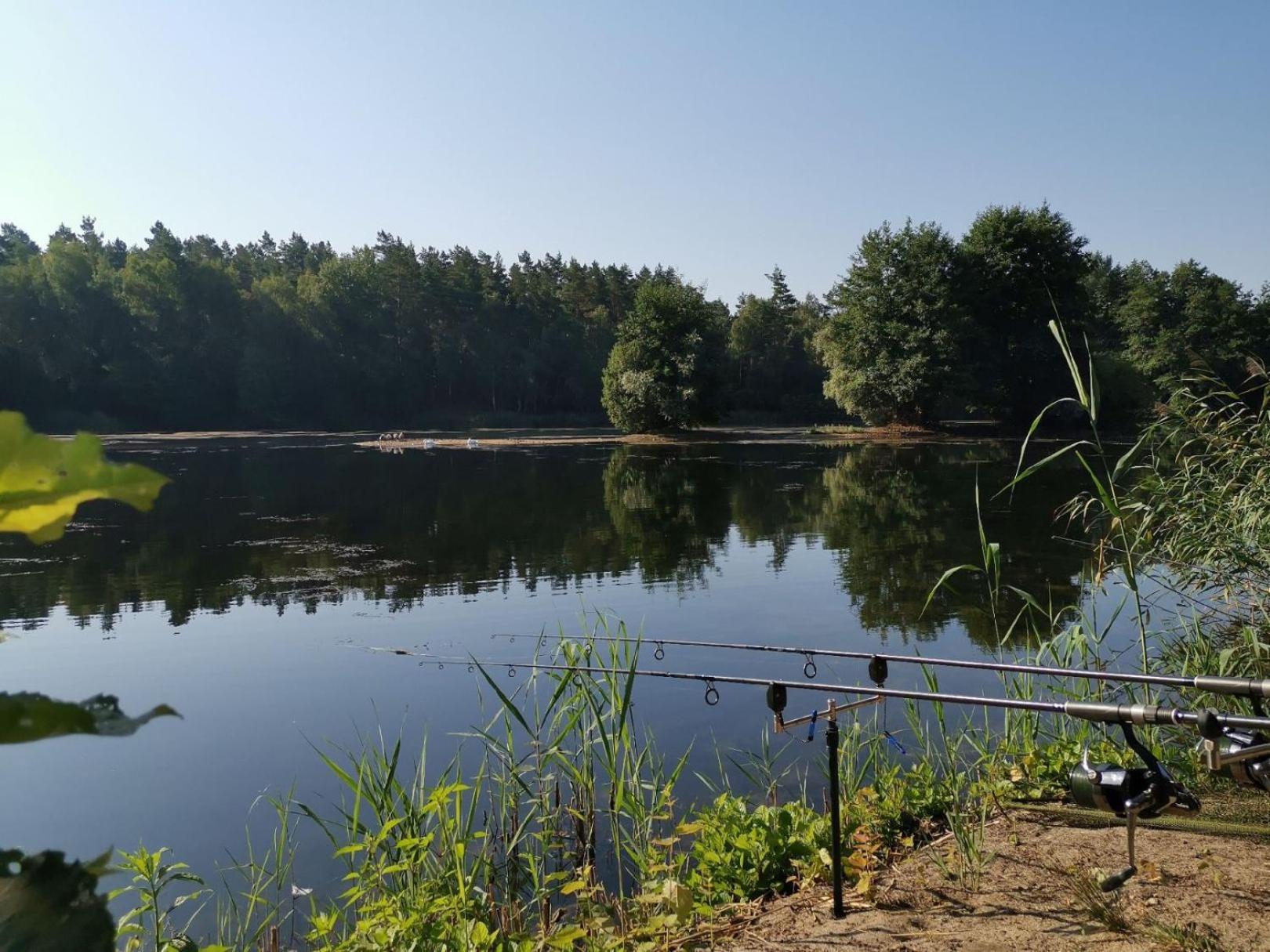 Ruhepol Fuer Mensch & Tier In Der Lueneburger Heide Lägenhet Vierhofen Exteriör bild